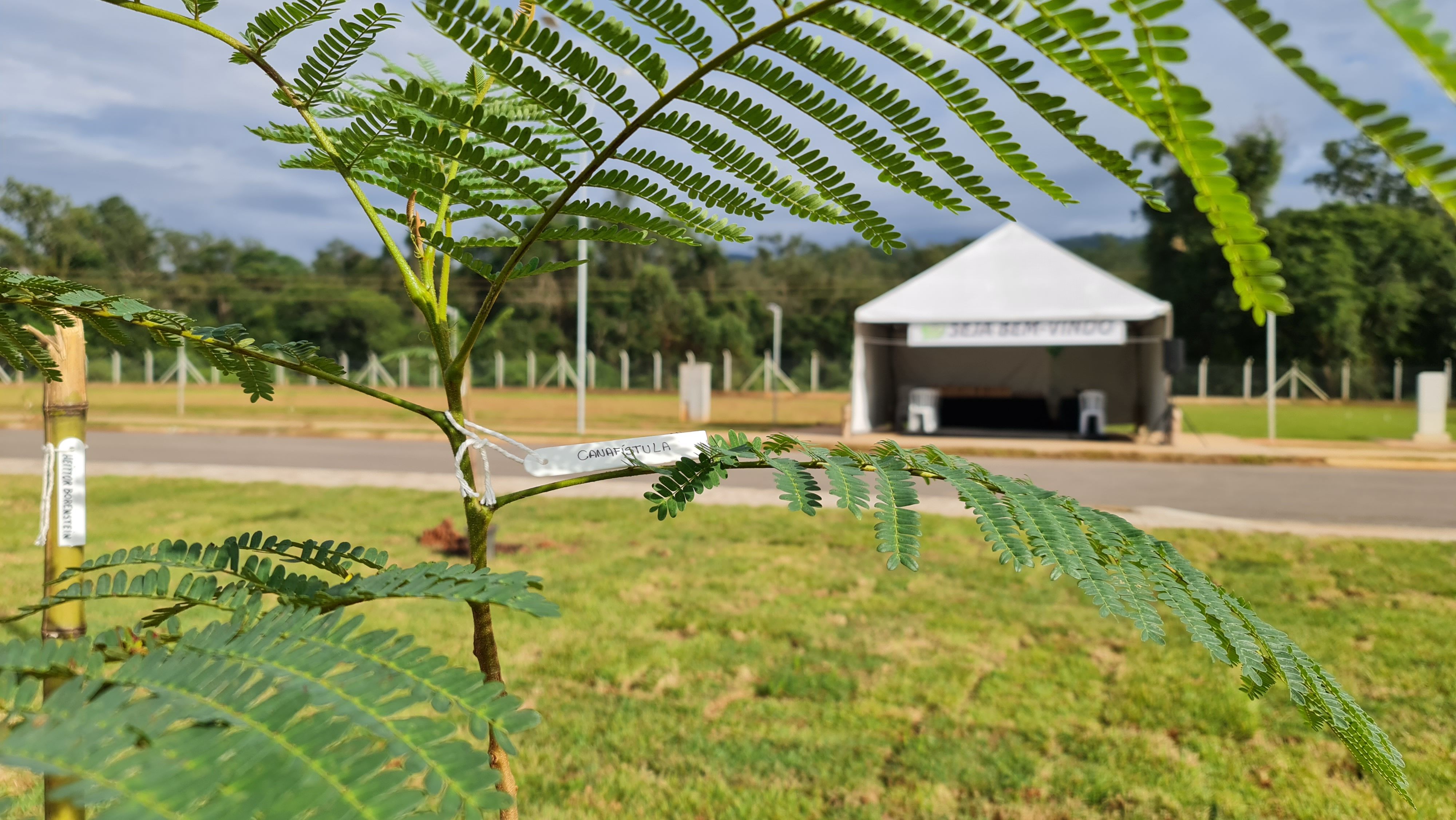 Helbor promove ação ambiental voluntária