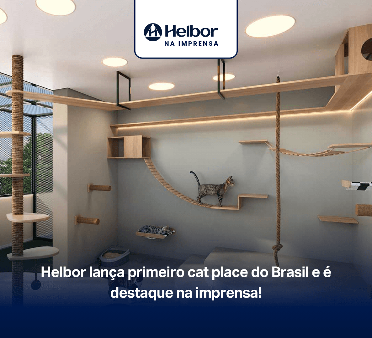 Helbor lança primeiro cat place do Brasil e é destaque na imprensa!