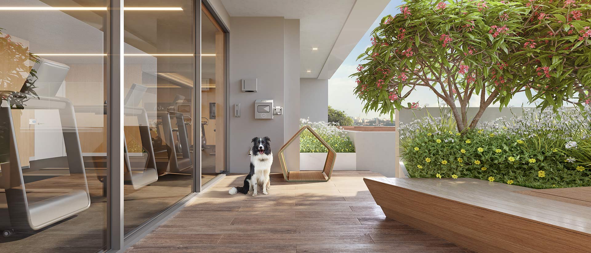 Duo Lifestyle by Helbor — Duo Lifestyle by Helbor pet place