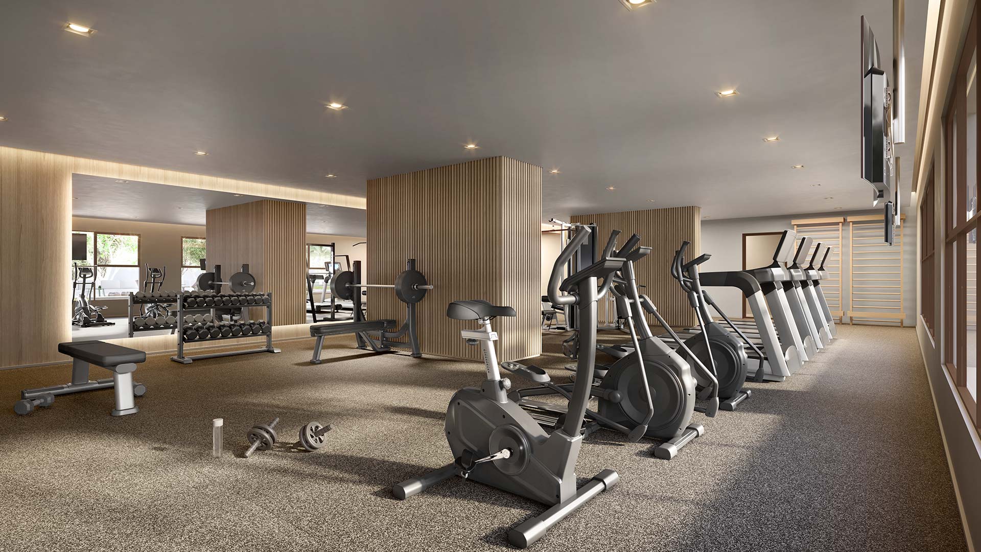 Nova Vivere — Fitness