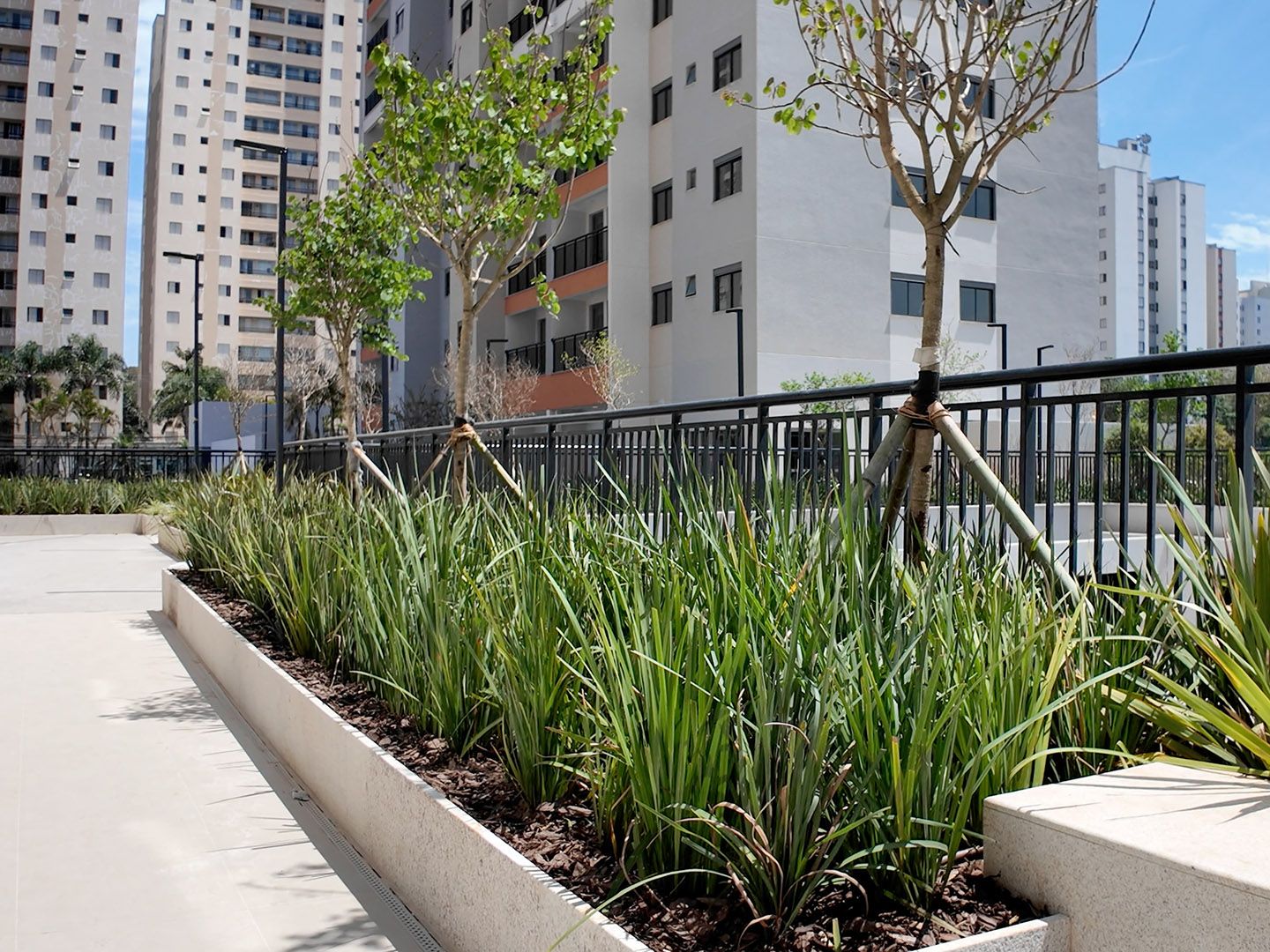 PATTEO SAO BERNARDO (12).jpg