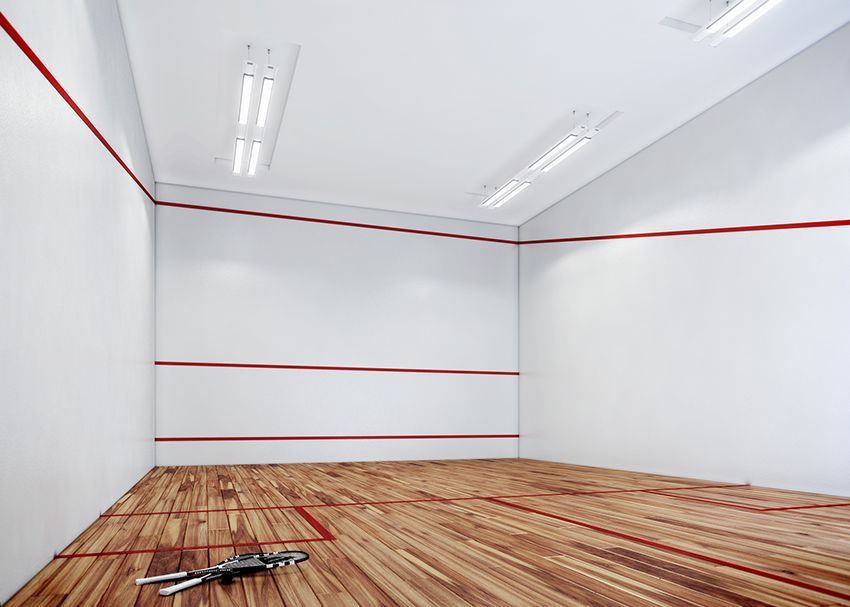 Quadra de Squash