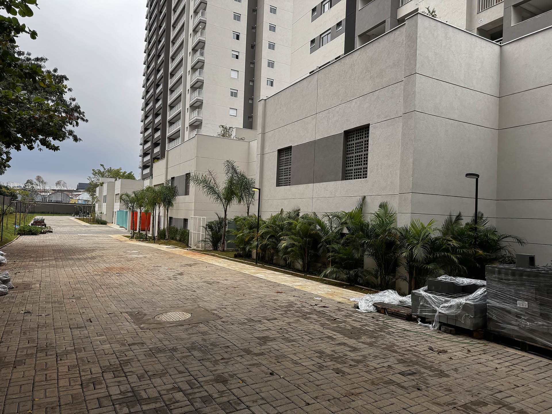 Reserva C da Lapa Torre1 Fase3_4751.jpg